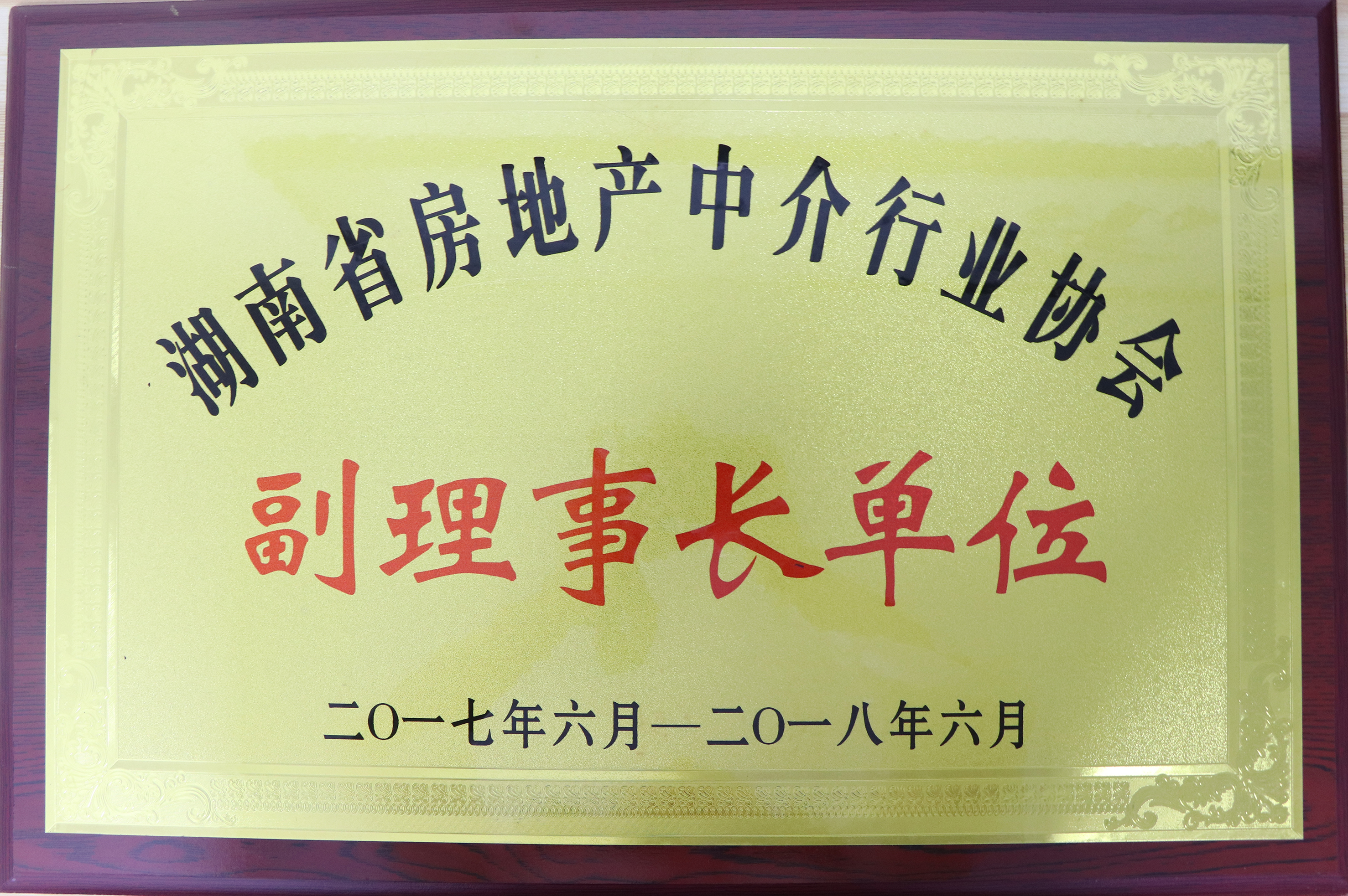 2017-2018年度湖南省房地產中介行業協會副理事長單位